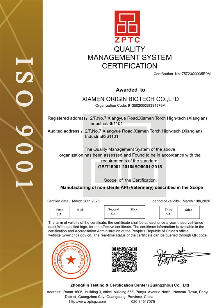 ISO9001